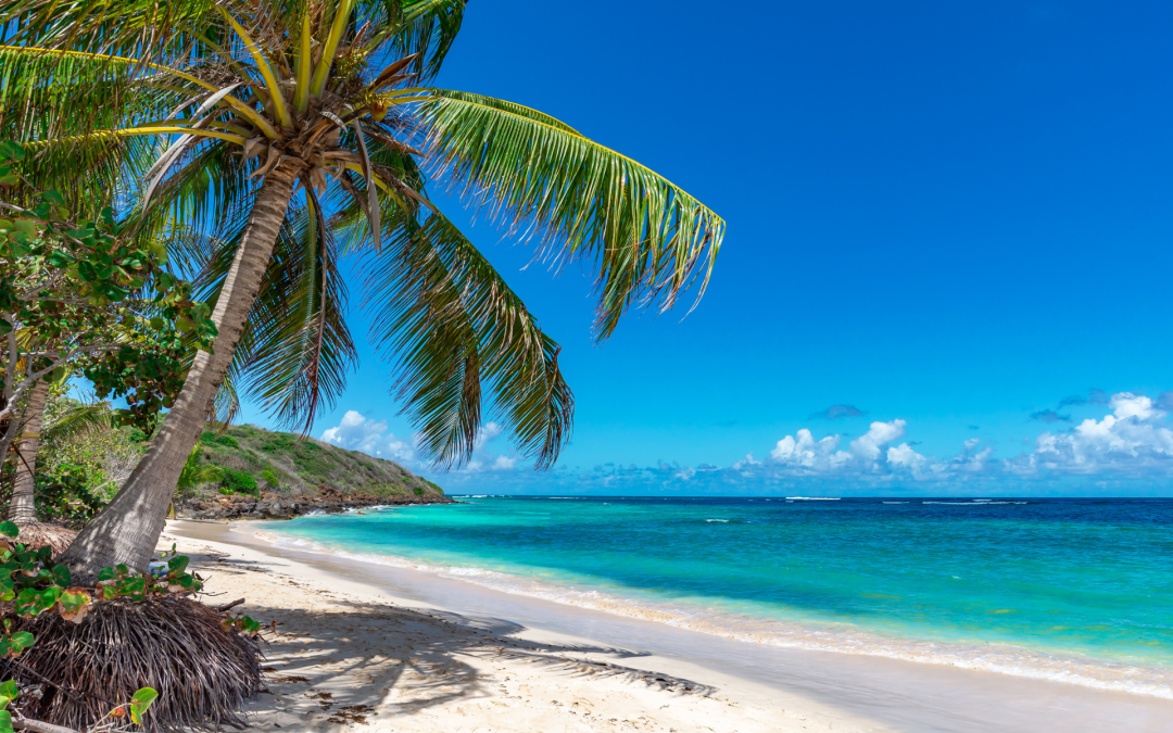 Win Your Dream Vacation for Only $50
